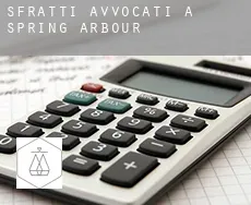 Sfratti avvocati a Spring Arbour