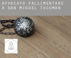 Avvocato fallimentare a  San Miguel de Tucumán