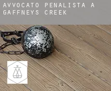 Avvocato penalista a Gaffneys Creek