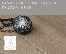 Avvocato penalista a Prison Farm