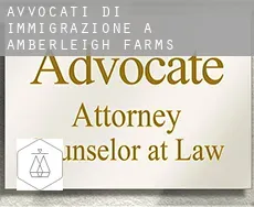 Avvocati di immigrazione a Amberleigh Farms