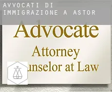 Avvocati di immigrazione a Astor