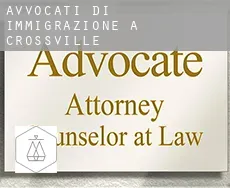 Avvocati di immigrazione a  Crossville