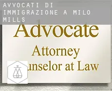 Avvocati di immigrazione a Milo Mills