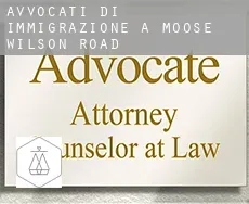 Avvocati di immigrazione a Moose Wilson Road