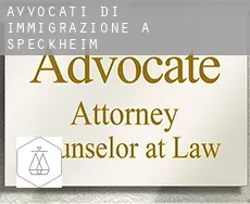 Avvocati di immigrazione a Speckheim