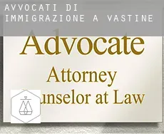 Avvocati di immigrazione a Vastine