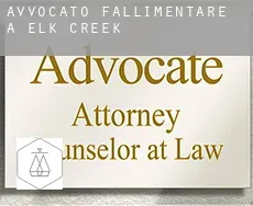 Avvocato fallimentare a Elk Creek