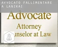 Avvocato fallimentare a Lanikai