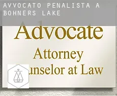 Avvocato penalista a  Bohners Lake
