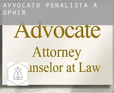 Avvocato penalista a Ophir