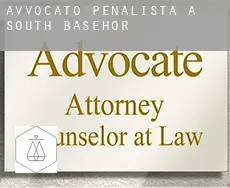 Avvocato penalista a  South Basehor