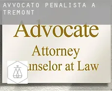 Avvocato penalista a Tremont