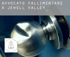 Avvocato fallimentare a Jewell Valley