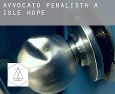 Avvocato penalista a  Isle of Hope