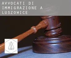 Avvocati di immigrazione a Luszowice