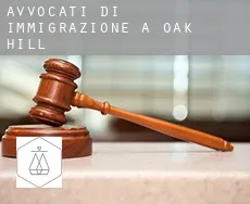 Avvocati di immigrazione a Oak Hill