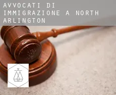 Avvocati di immigrazione a North Arlington