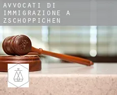 Avvocati di immigrazione a Zschöppichen