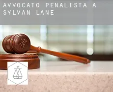 Avvocato penalista a  Sylvan Lane