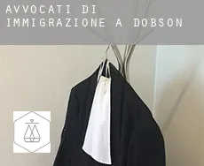 Avvocati di immigrazione a Dobson