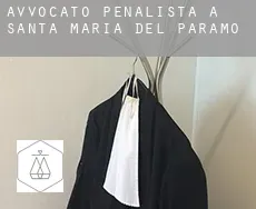 Avvocato penalista a Santa María del Páramo