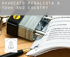 Avvocato penalista a Town and Country