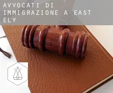 Avvocati di immigrazione a East Ely