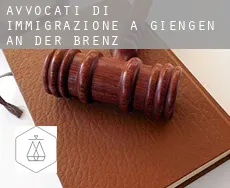 Avvocati di immigrazione a Giengen an der Brenz
