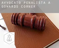 Avvocato penalista a Gowards Corner