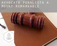 Avvocato penalista a  Mount Remarkable