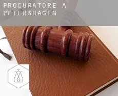 Procuratore a  Petershagen