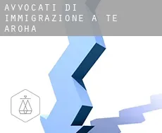Avvocati di immigrazione a Te Aroha