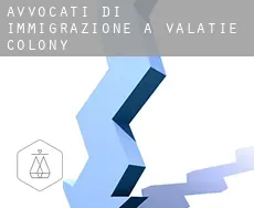 Avvocati di immigrazione a Valatie Colony