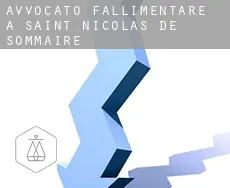 Avvocato fallimentare a Saint-Nicolas-de-Sommaire