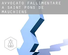 Avvocato fallimentare a Saint-Pons-de-Mauchiens