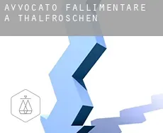 Avvocato fallimentare a  Thalfröschen