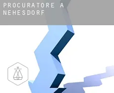 Procuratore a  Nehesdorf