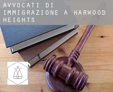 Avvocati di immigrazione a Harwood Heights
