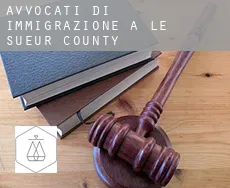 Avvocati di immigrazione a Le Sueur County