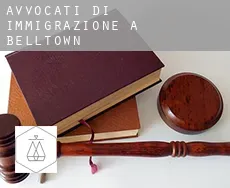 Avvocati di immigrazione a Belltown