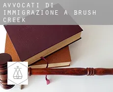 Avvocati di immigrazione a Brush Creek