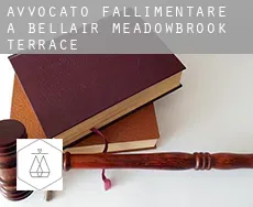 Avvocato fallimentare a Bellair-Meadowbrook Terrace