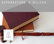 Separazione a Wilcox