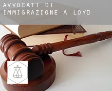 Avvocati di immigrazione a Loyd