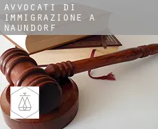 Avvocati di immigrazione a  Naundorf