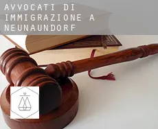 Avvocati di immigrazione a  Neunaundorf