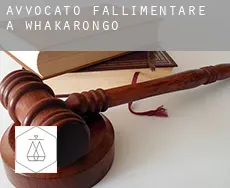 Avvocato fallimentare a  Whakarongo