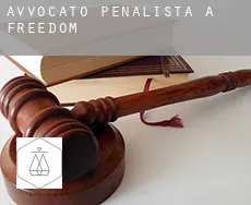 Avvocato penalista a Freedom