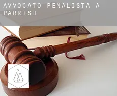 Avvocato penalista a  Parrish